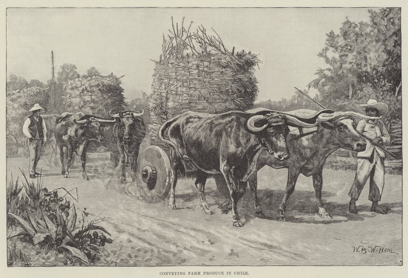Trasporto di prodotti agricoli in Cile da William Barnes Wollen