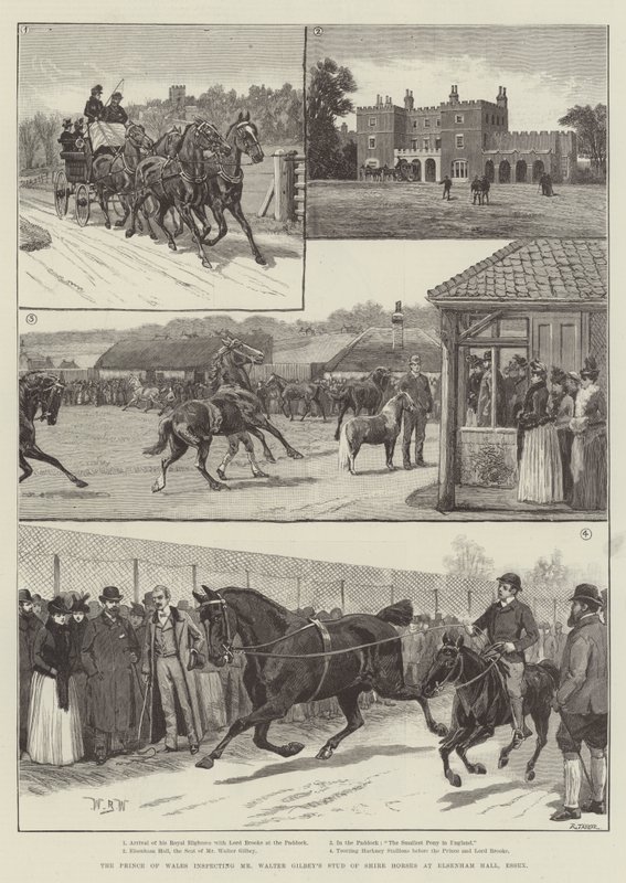 Il Principe di Galles ispeziona lo stallone di cavalli Shire di Mr Walter Gilbey a Elsenham Hall, Essex da William Barnes Wollen