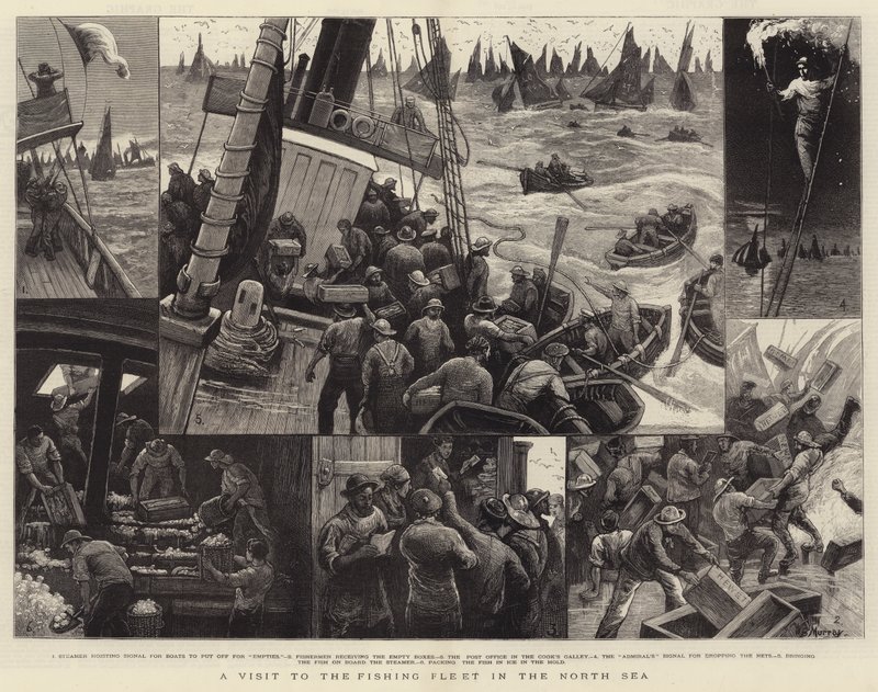 Una visita alla flotta di pesca nel Mare del Nord da William Bazett Murray