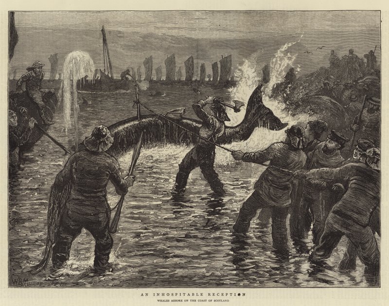 Una Accoglienza Inospitale da William Bazett Murray
