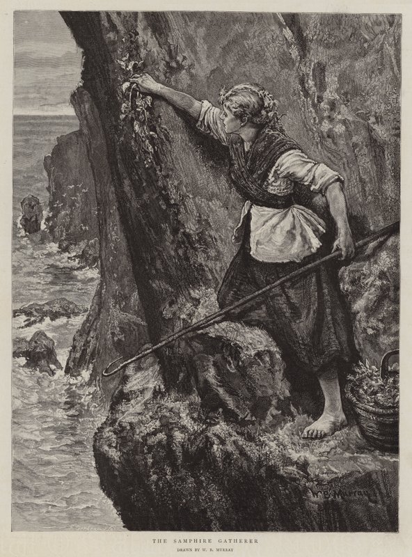 Il raccoglitore di salicornia da William Bazett Murray