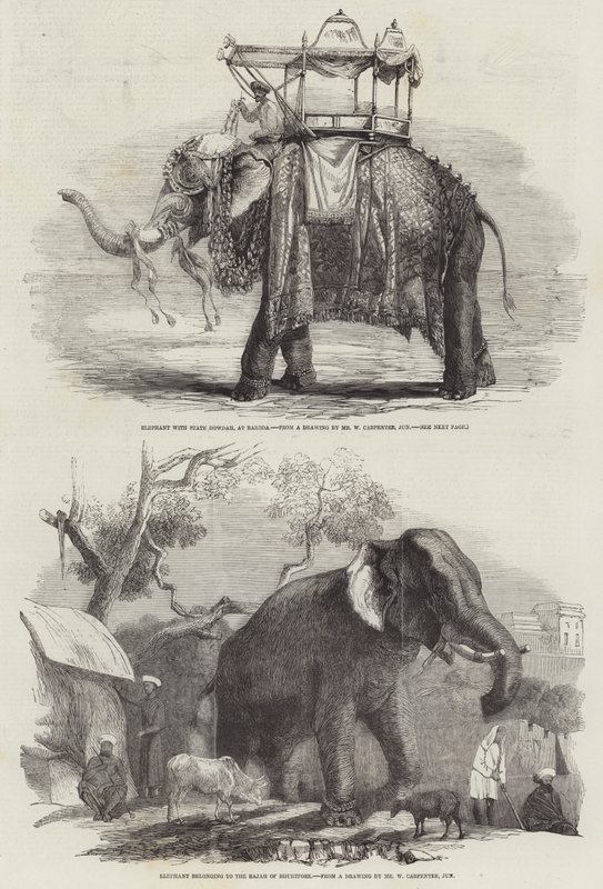 Elefanti Indiani da William Carpenter