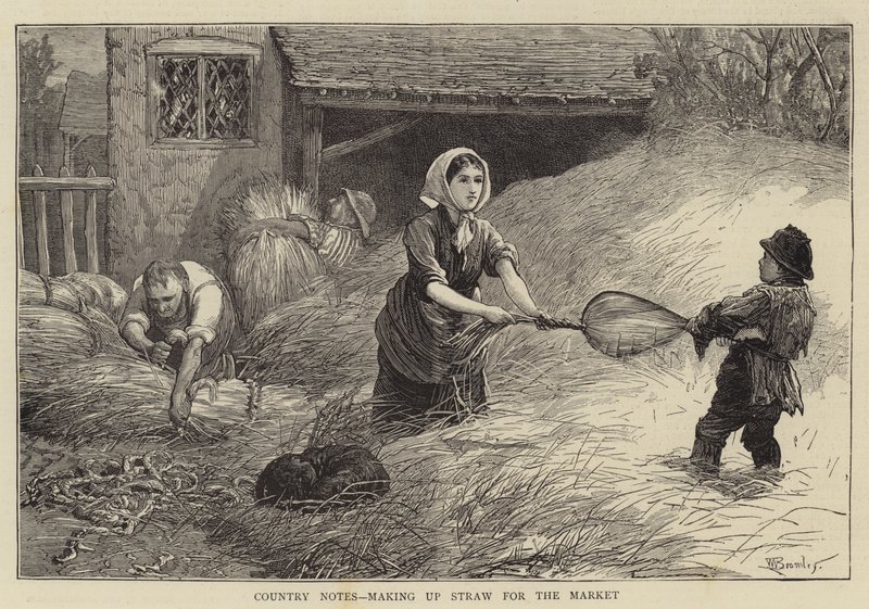 Note di Campagna, Preparazione della Paglia per il Mercato da William III Bromley
