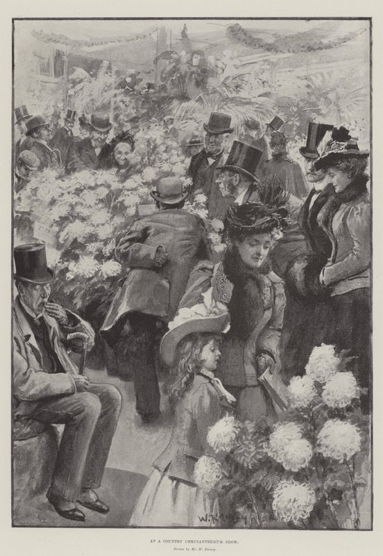 Alla mostra di crisantemi di campagna da William Rainey