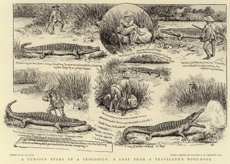 Una storia curiosa di un coccodrillo, una pagina dal taccuino di un viaggiatore da William Ralston