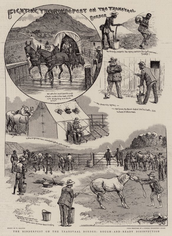 Combattere la peste bovina al confine del Transvaal da William Ralston