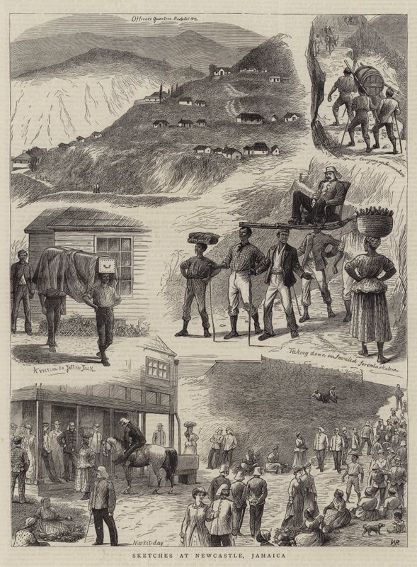 Schizzi a Newcastle, Giamaica da William Ralston