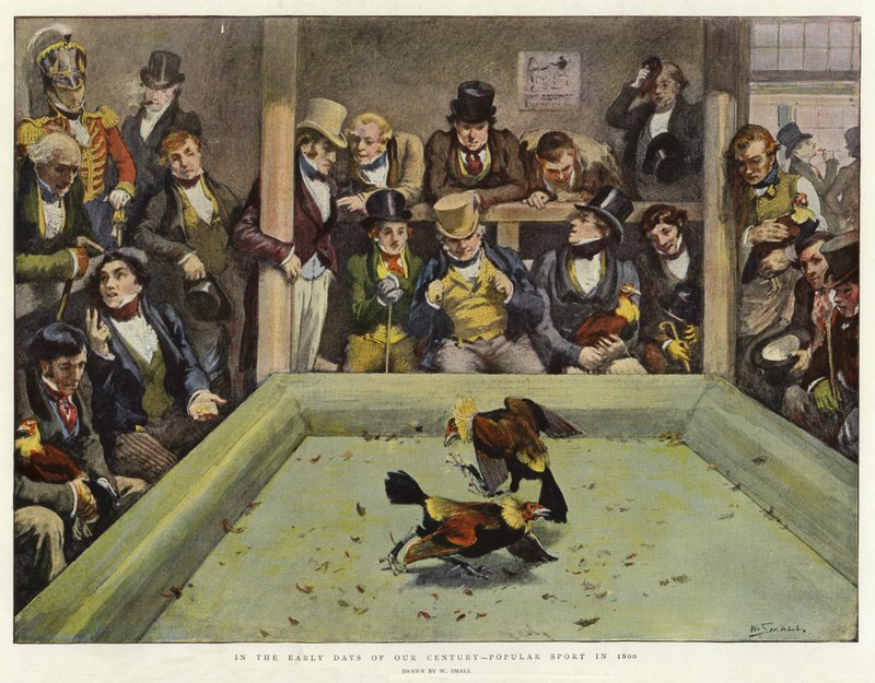 Nei primi giorni del nostro secolo, sport popolare nel 1800 da William Small