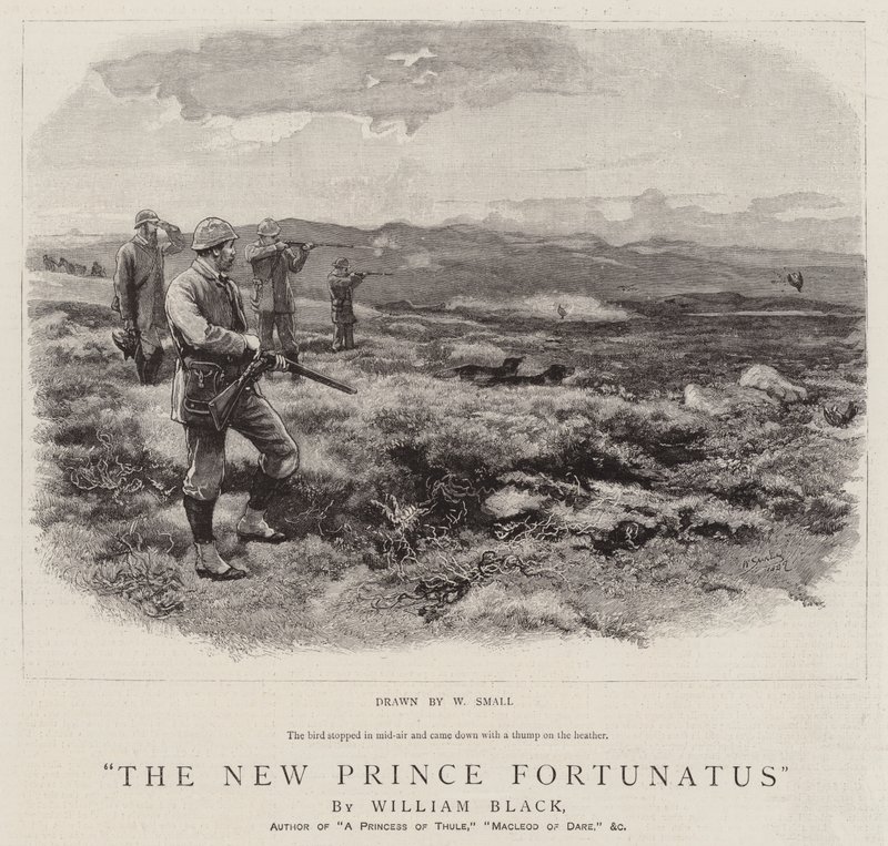 Il nuovo principe Fortunatus da William Small