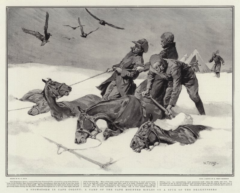 Una tempesta di neve nella Colonia del Capo, un campo dei Cape Mounted Rifles su uno sperone del Drakensberg da William T. Maud