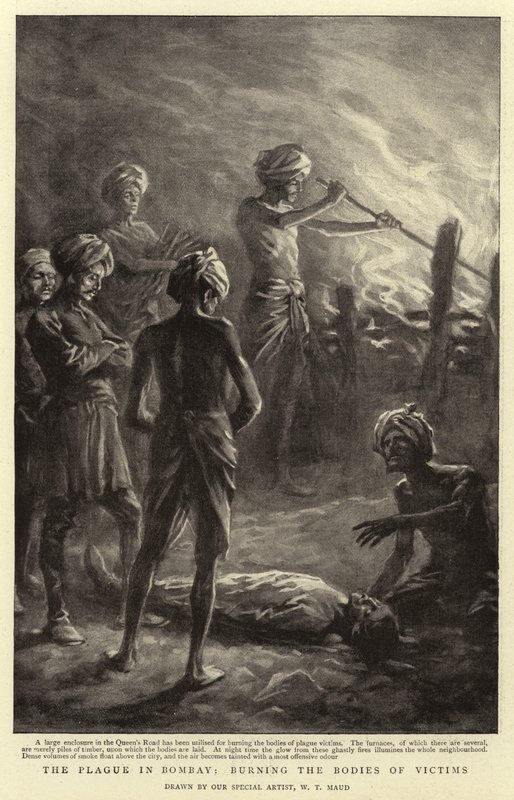La peste a Bombay, cremazione dei corpi delle vittime da William T. Maud