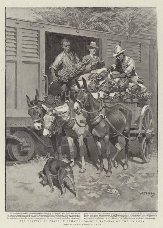 La ripresa del commercio in Giamaica, carico di banane sulla ferrovia da William T. Maud