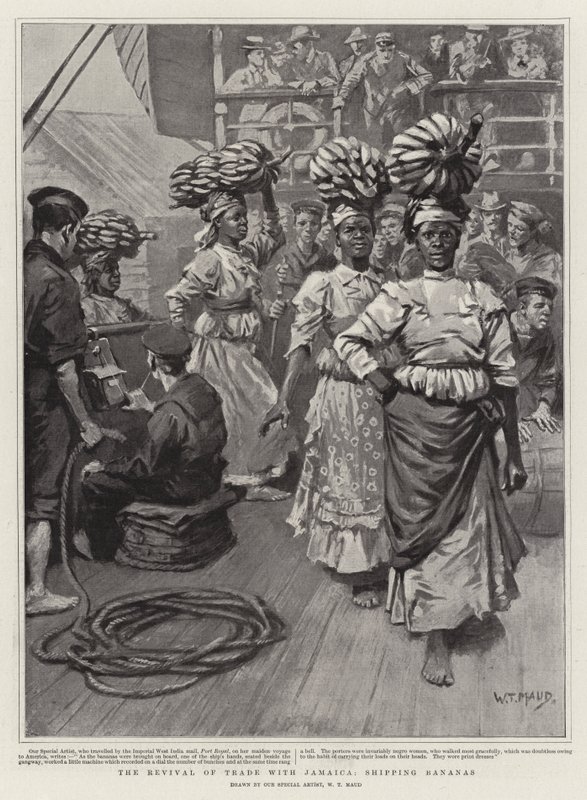 La ripresa del commercio con la Giamaica, spedizione di banane da William T. Maud