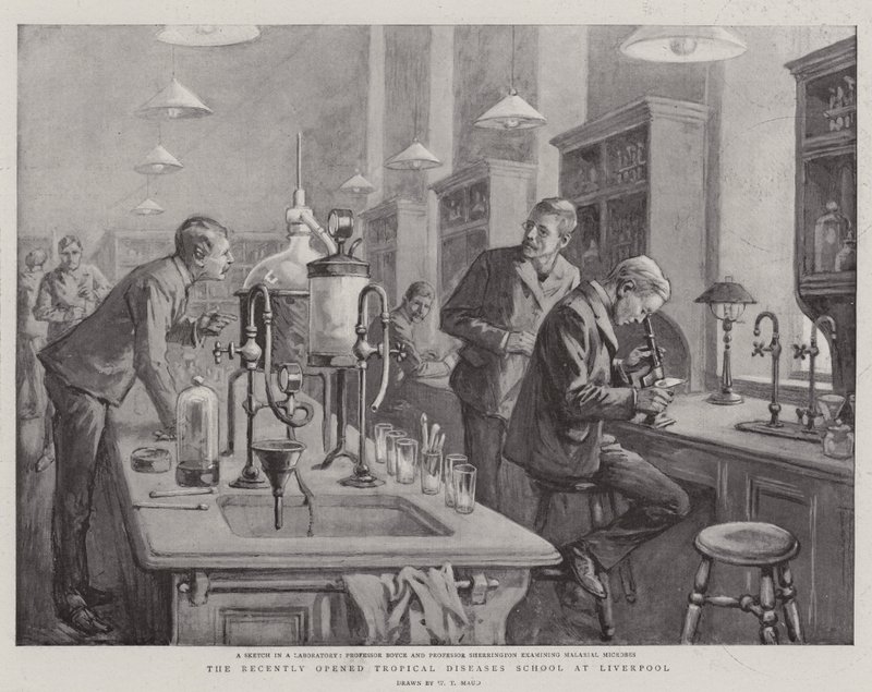 La scuola di malattie tropicali recentemente aperta a Liverpool da William T. Maud