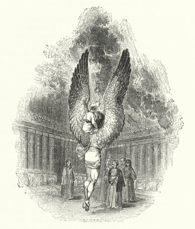 Hasan sulle spalle dell