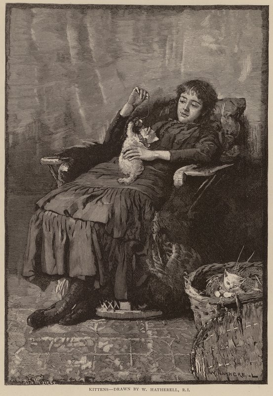 Gattini da William (after) Hatherell