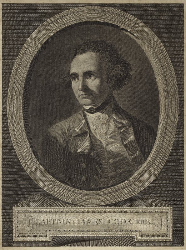 Ritratto del Capitano James Cook (incisione) da William (after) Hodges