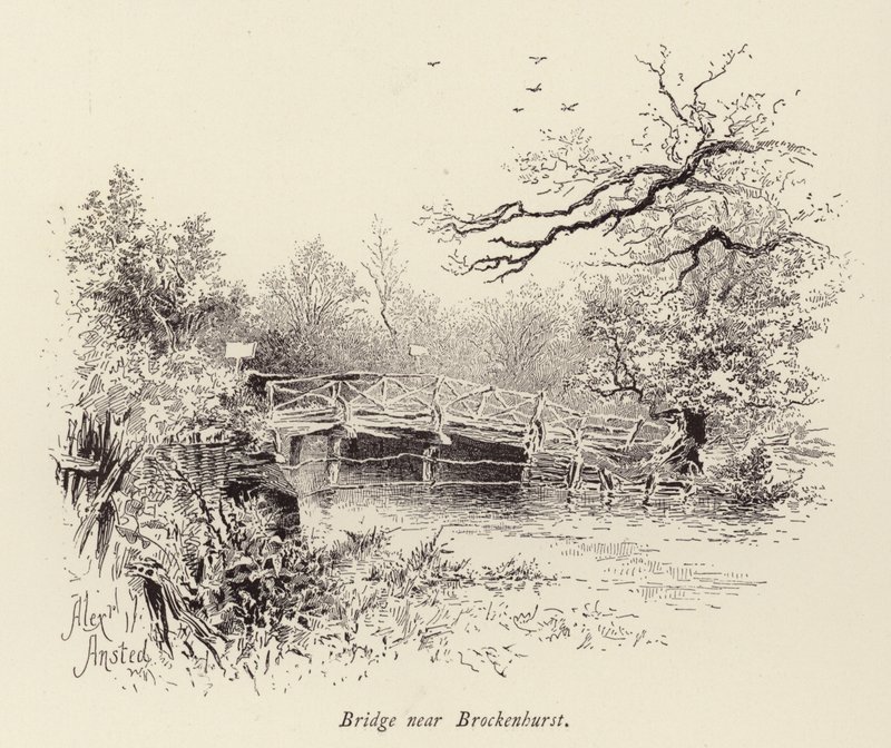 Ponte vicino a Brockenhurst da William Alexander Ansted