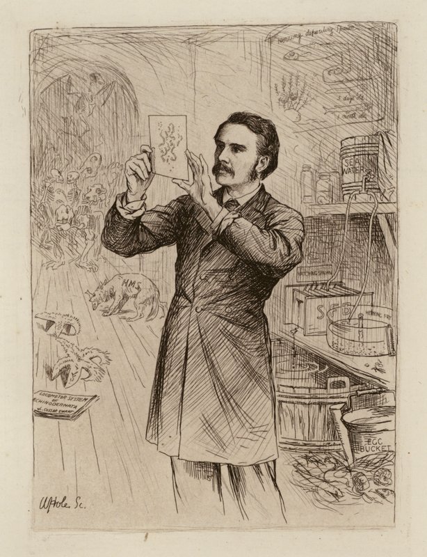 James Cossar Ewart, Professore di Storia Naturale (incisione) da William Brassey (after) Hole
