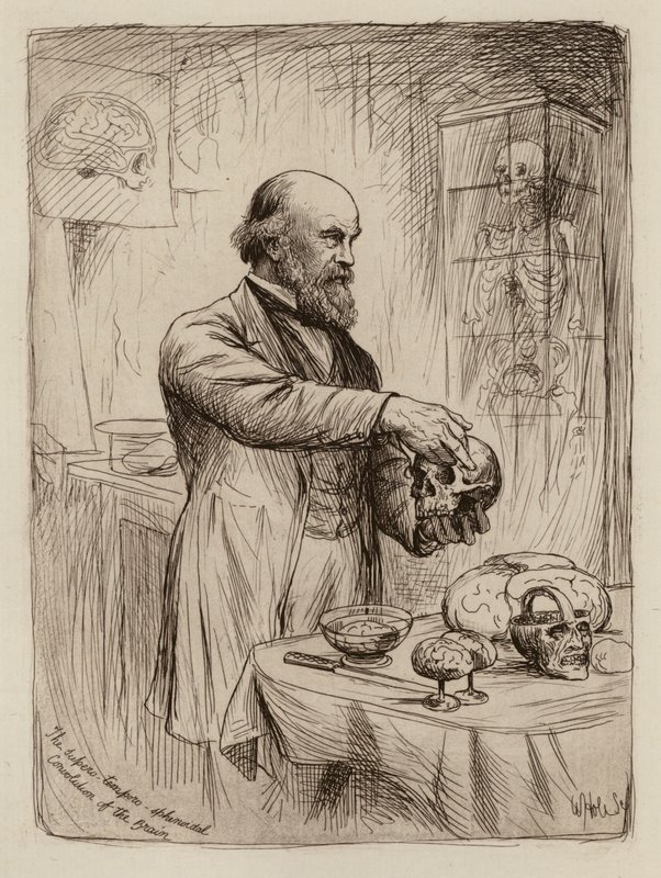 William Turner, Professore di Anatomia (incisione) da William Brassey (after) Hole