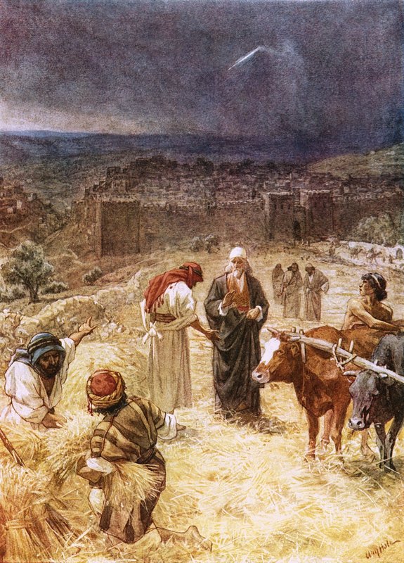 Il re Davide acquista l
