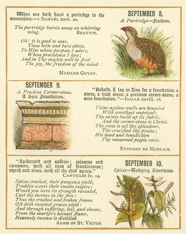 Pagina dal The Bible Emblem Anniversary Book da William Foster