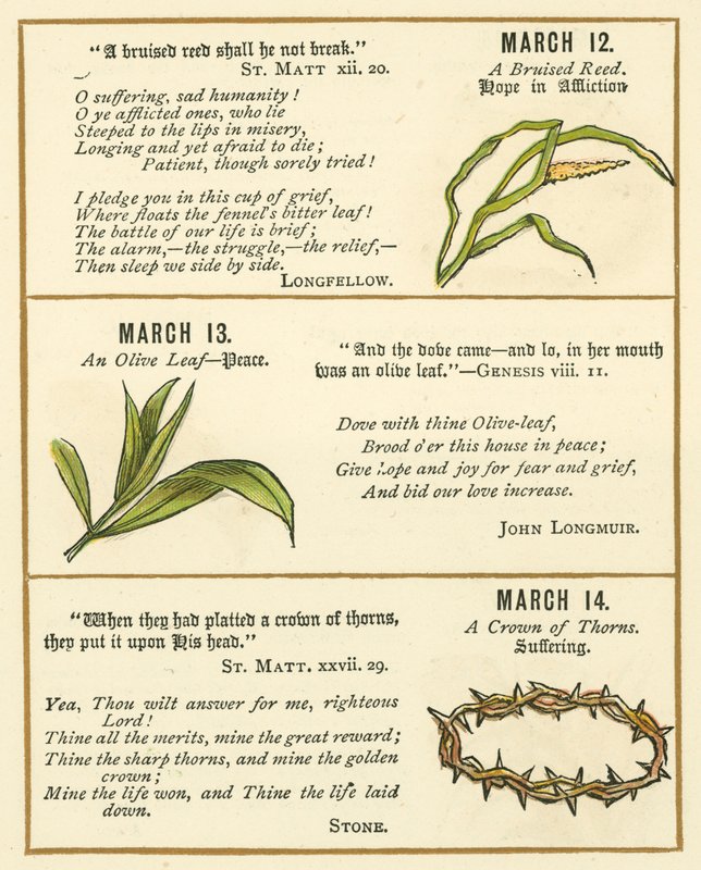 Pagina dal The Bible Emblem Anniversary Book da William Foster