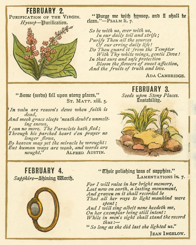 Pagina dal The Bible Emblem Anniversary Book da William Foster