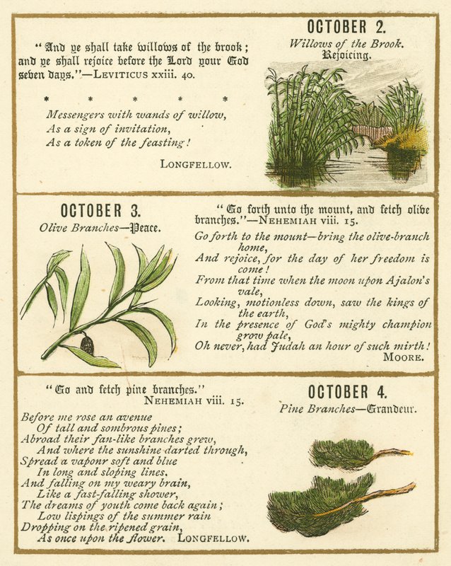 Pagina dal libro anniversario della Bibbia Emblema da William Foster