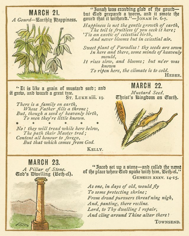 Pagina dal libro anniversario della Bibbia Emblema da William Foster