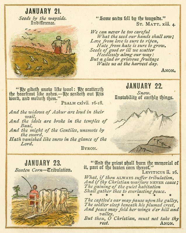 Pagina dal Libro Emblema della Bibbia Anniversario da William Foster