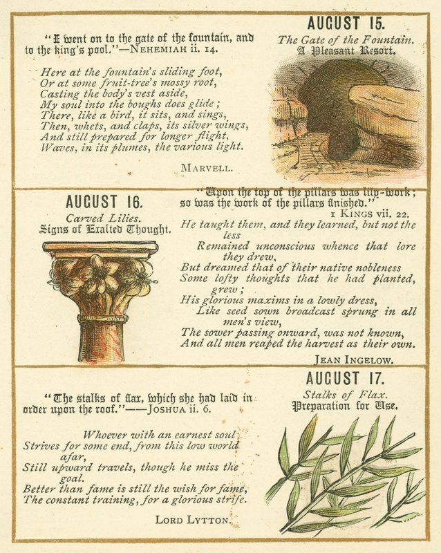 Pagina dal libro anniversario della Bibbia Emblema da William Foster
