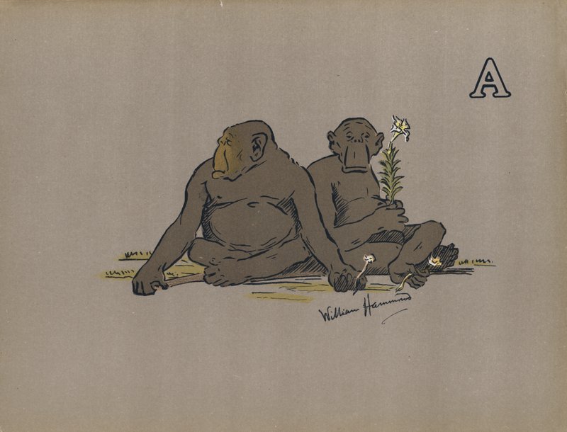 Lettera A, Scimmie Antropoidi Estetiche che Adottano Atteggiamenti Anormalmente Apatici da William Hammond