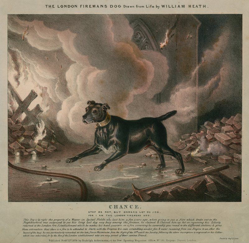 Il cane del pompiere di Londra da William Heath