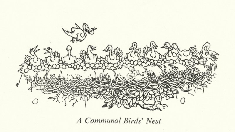 Un nido di uccelli comunale da William Heath Robinson