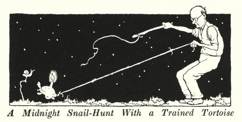 Una Caccia alla Lumaca di Mezzanotte con una Tartaruga Addestrata da William Heath Robinson