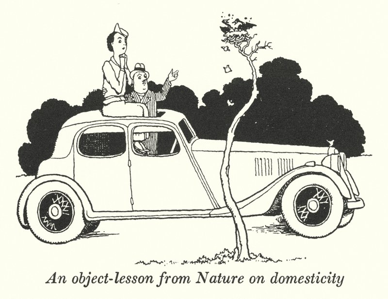 Una lezione dalla natura sulla domesticità (litografia) da William Heath Robinson