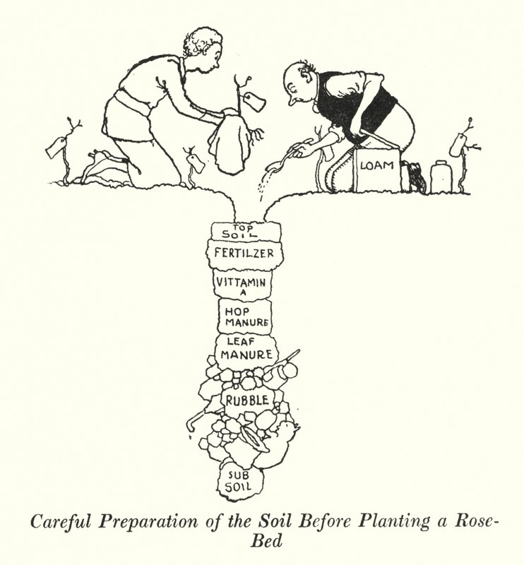 Preparazione Attenta del Terreno Prima di Piantare un Roseto da William Heath Robinson