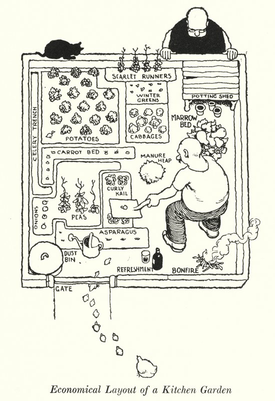 Disposizione economica di un orto da William Heath Robinson