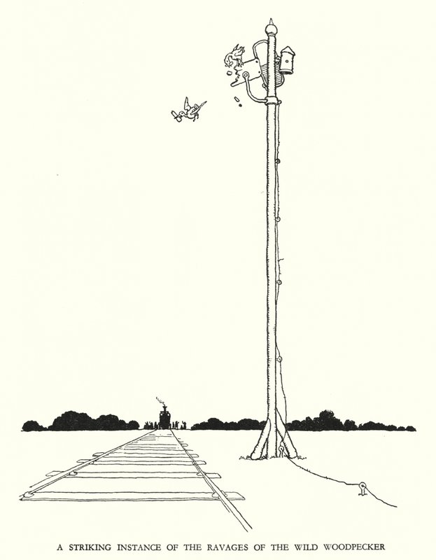 Illustrazione per Railway Ribaldry di W Heath Robinson da William Heath Robinson