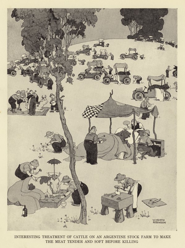 Trattamento interessante del bestiame in una fattoria argentina per rendere la carne tenera e morbida prima della macellazione da William Heath Robinson