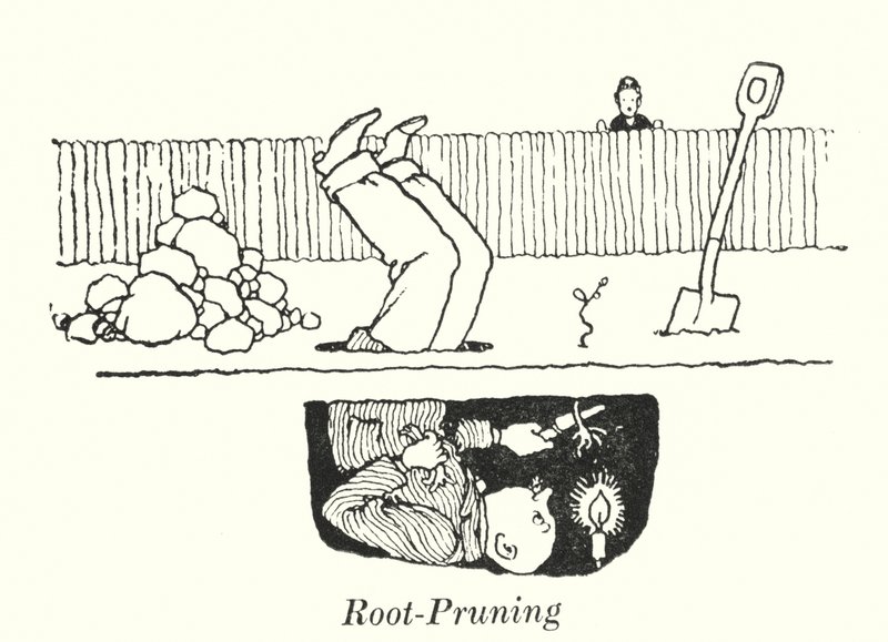 Potatura delle radici da William Heath Robinson