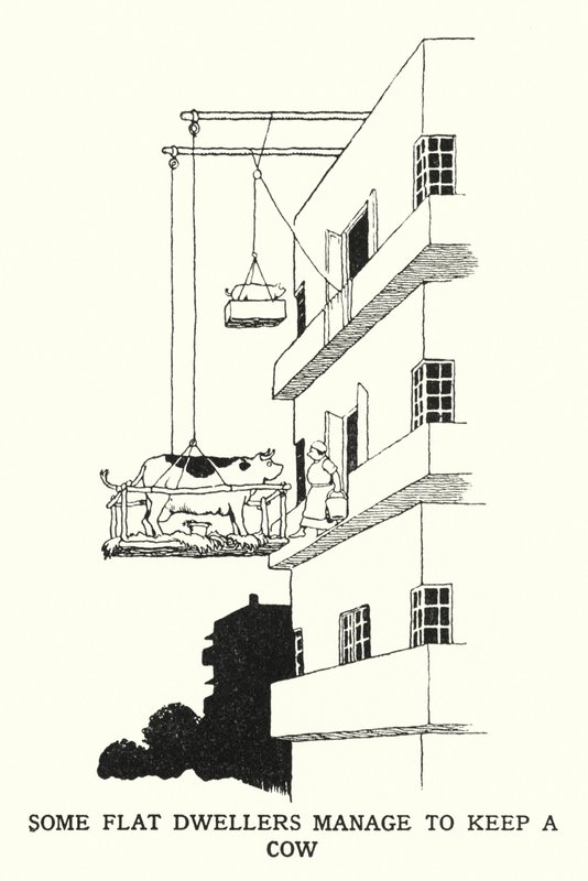 Alcuni abitanti di appartamenti riescono a tenere una mucca da William Heath Robinson
