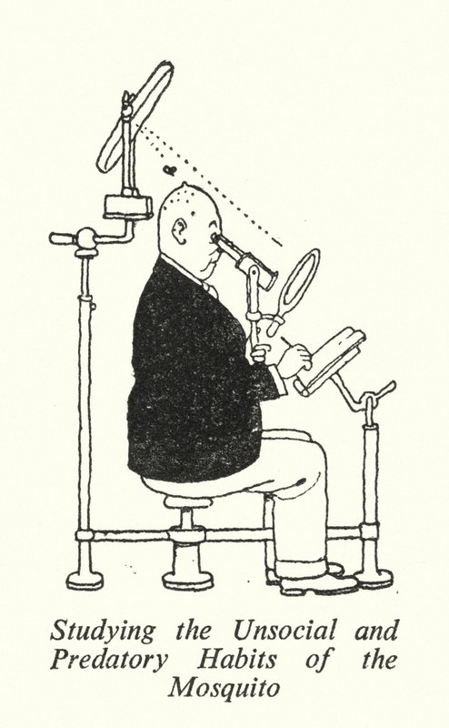 Studiando le Abitudini Asociali e Predatrici della Zanzara da William Heath Robinson