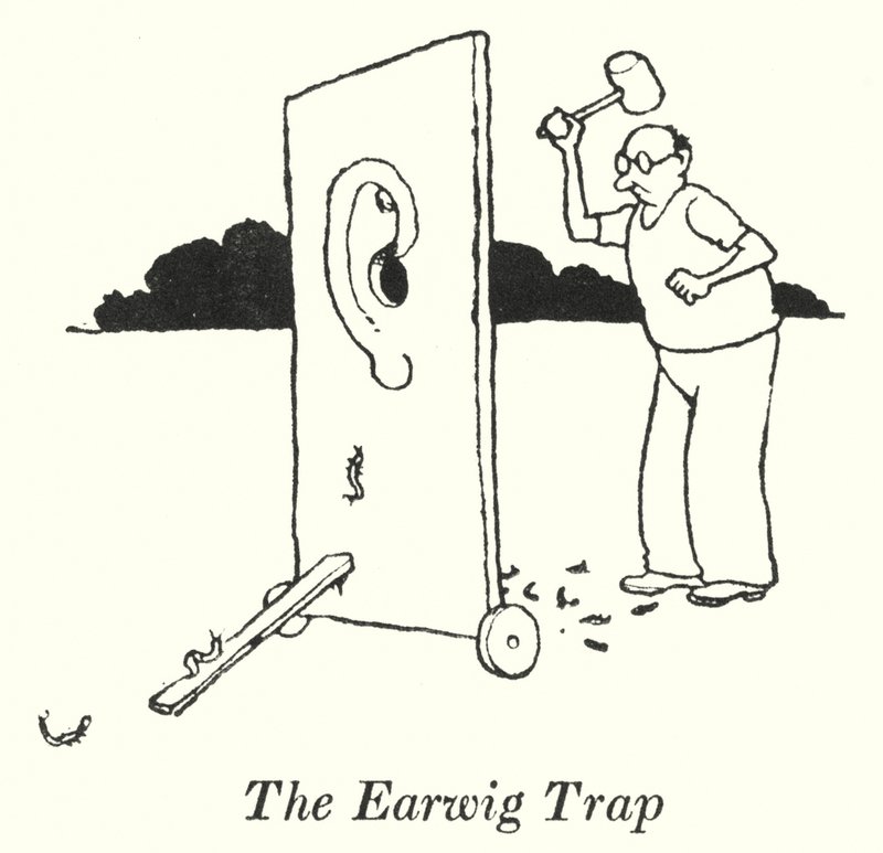 La Trappola per Forbicine da William Heath Robinson