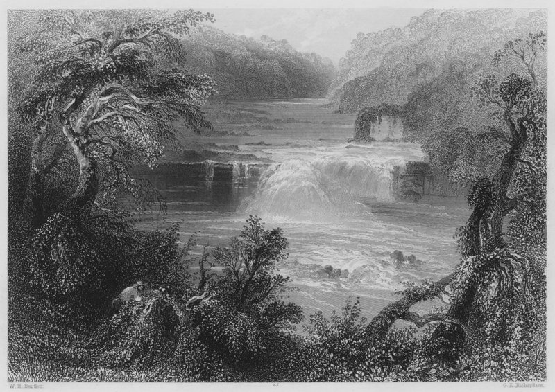 Salto del salmone a Leixlip (incisione) da William Henry (after) Bartlett