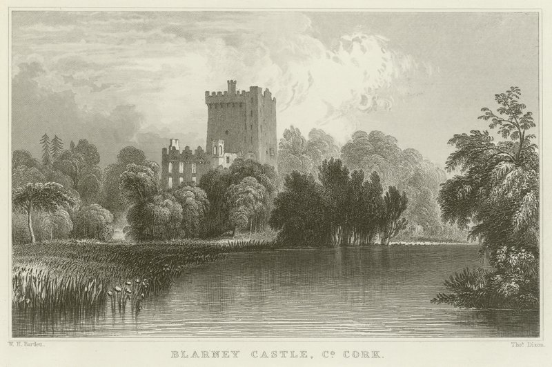 Castello di Blarney nella contea di Cork da William Henry Bartlett