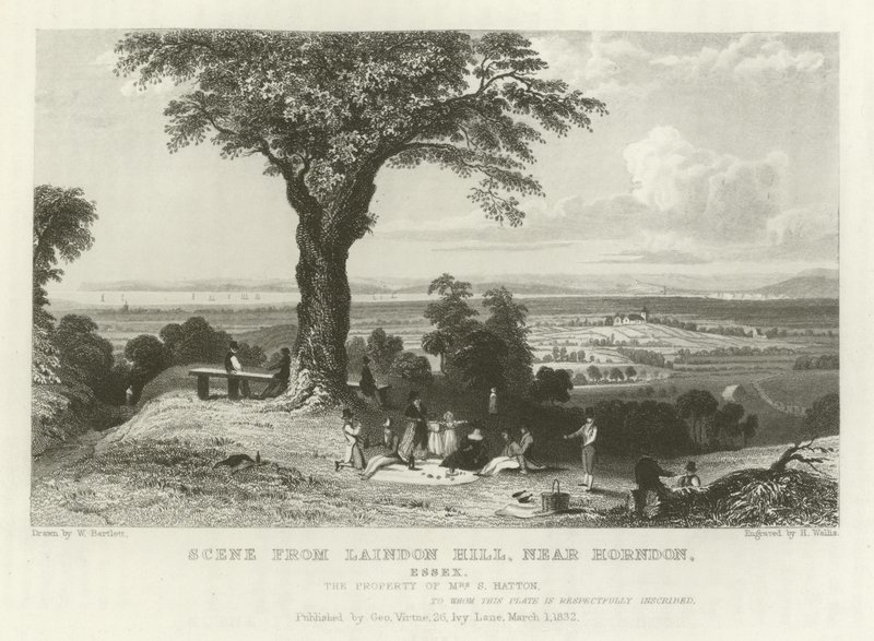 Scena da Laindon Hill, vicino a Horndon, Essex da William Henry Bartlett