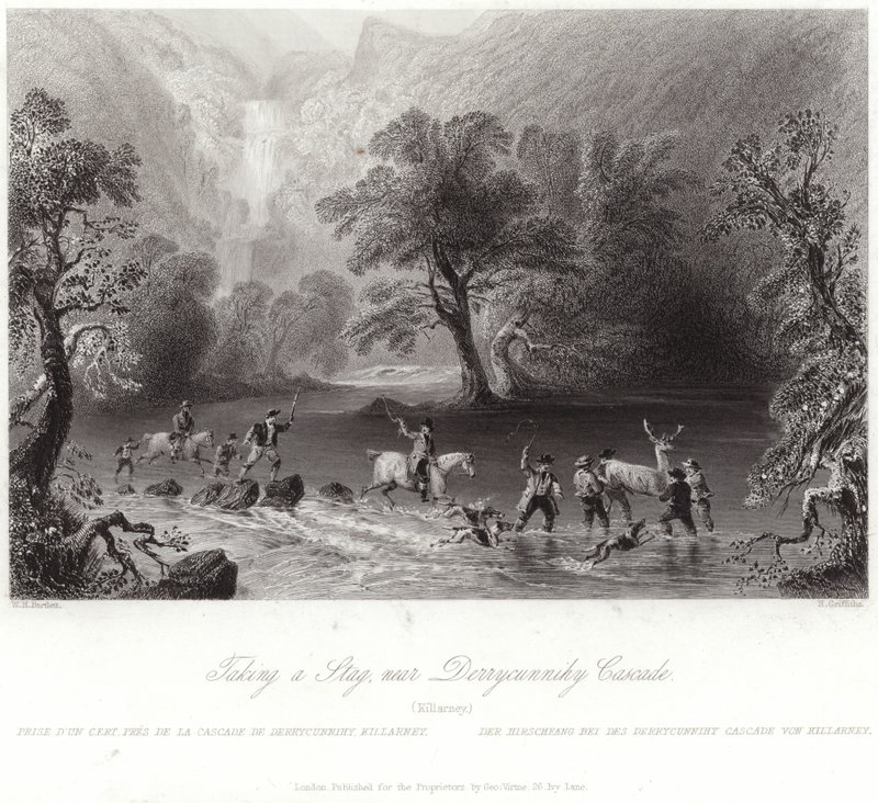 Caccia a un cervo vicino a Derrycunnihy da William Henry Bartlett