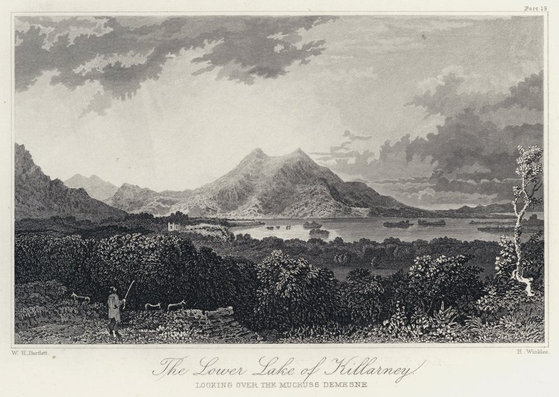 Il Lago Inferiore di Killarney, guardando oltre il Mucruss Demesne (incisione) da William Henry Bartlett